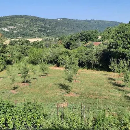Escape In Nature Holiday home *