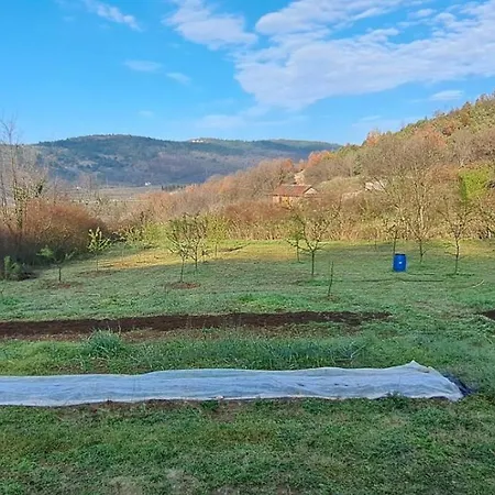 Escape In Nature